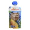 Happy Tot Toddler Food - Organic - Fiber And Protein - Stage 4 - Pear Blueberry And Spinach - 4 Oz - Case Of 16