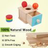 Montessori Infant Toddlers Coin Box Montessori Toys Babies (2 in 1,Coin&Ball, Blue Door)